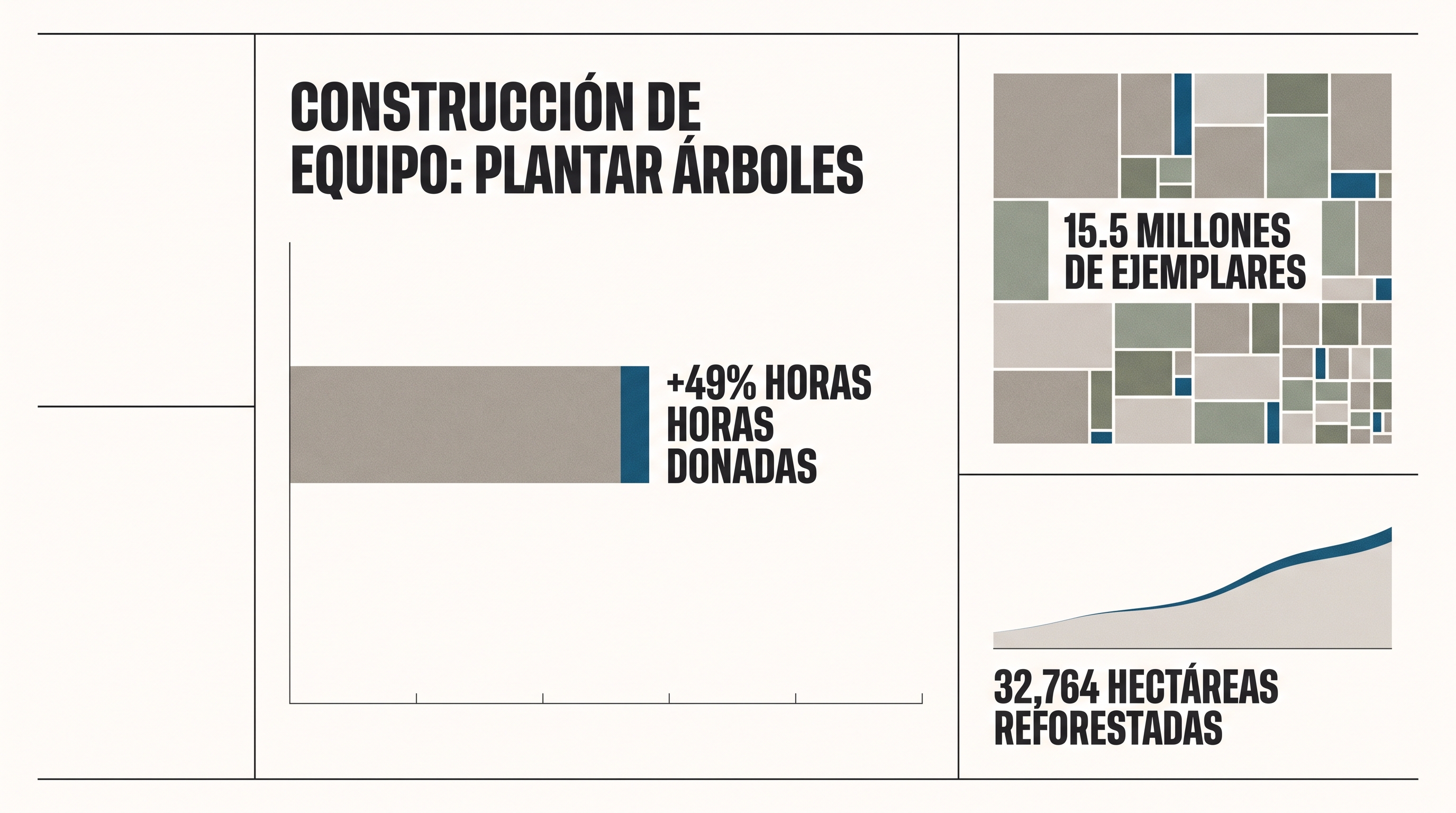 Team Building Ecológico: Plantación de Árboles para Equipos de Trabajo
