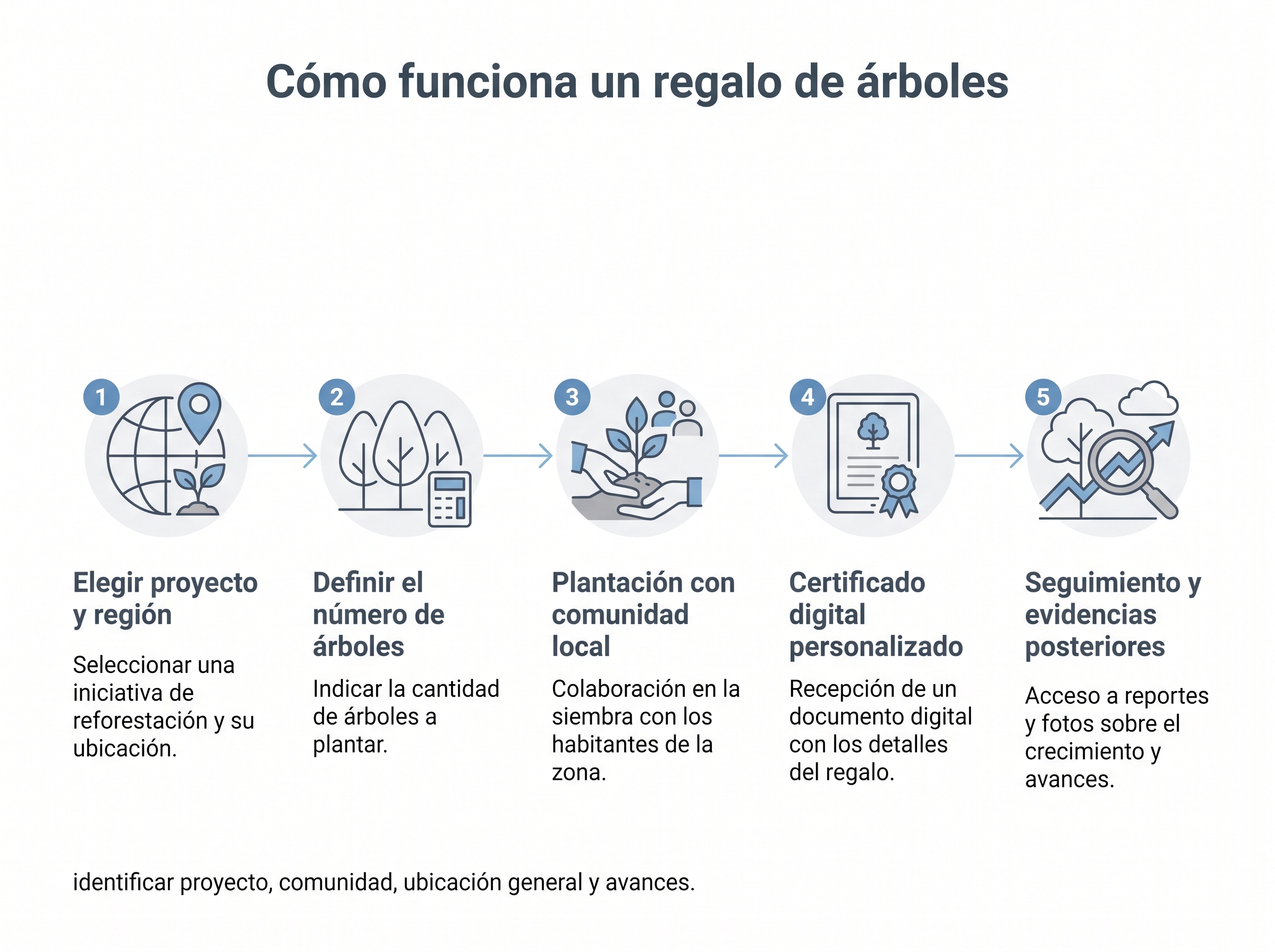 Flujo de cinco etapas para regalar árboles: proyecto, cantidad, plantación comunitaria, certificado y seguimiento.