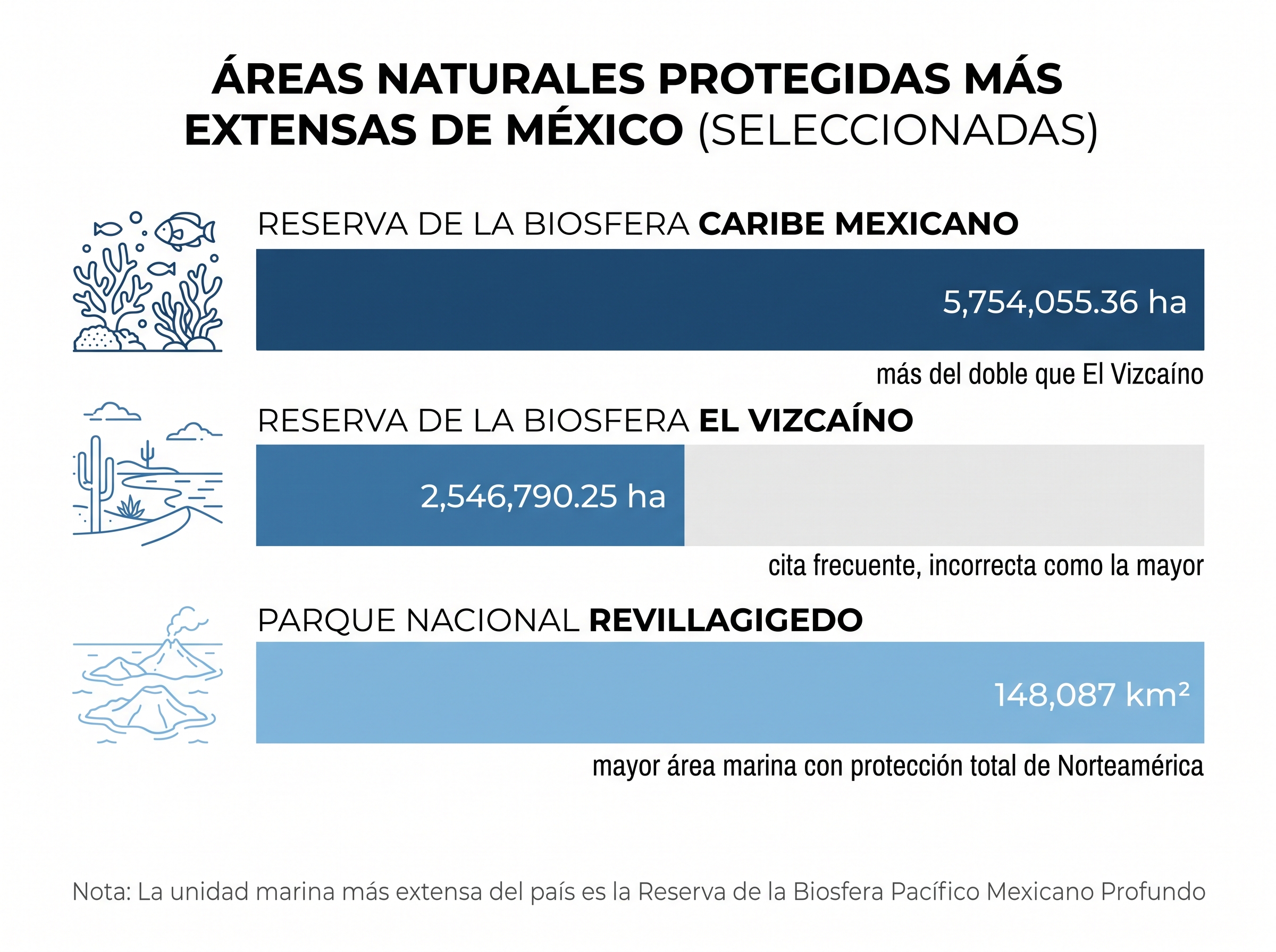 Infografía que compara la superficie de Caribe Mexicano, El Vizcaíno y Revillagigedo para corregir cuál es la ANP más grande de México.