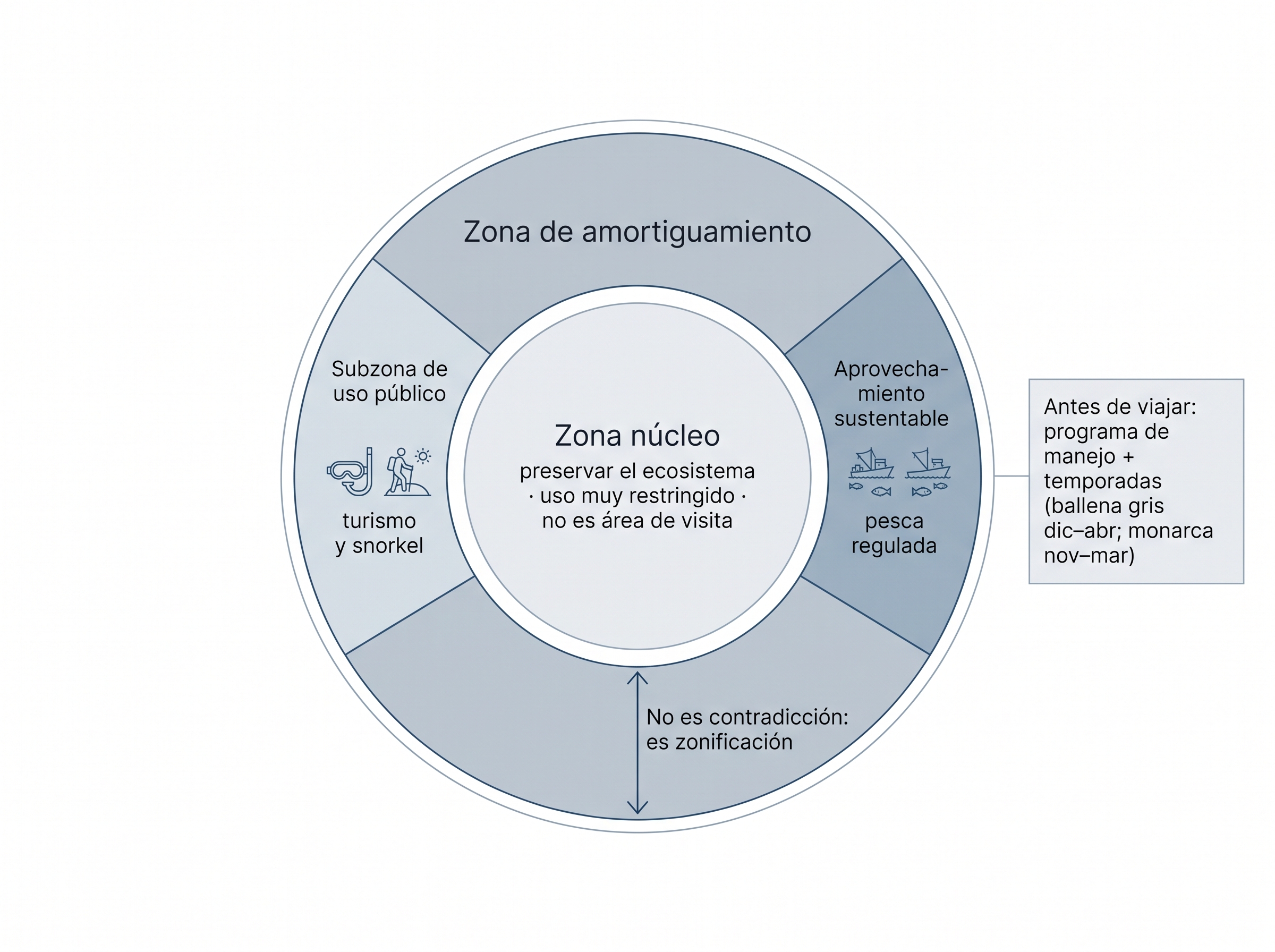 Diagrama de zona núcleo y zona de amortiguamiento en una ANP, con subzonas de uso público y aprovechamiento sustentable.